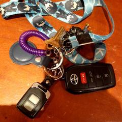 Gurt & Autoschlüssel ke, gemeldet von Grand Hotel Amrath Kurhaus über iLost