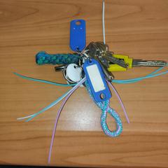 Sleutelbos, segons ha informat RRReis Overijssel / Flevoland-IJsselmond mitjançant iLost