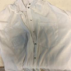 Blouse Wit, as reported by Artis using iLost