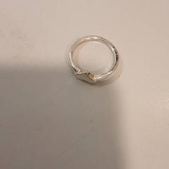 Ring, as reported by Qbuzz DMG using iLost