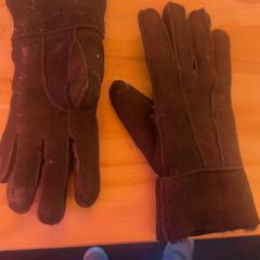 Guanti Bruin, come riportato da Schaatsbaan Rotterdam utilizzando iLost