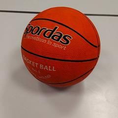 Basketboll & Boll, rapporterat av Vrije Universiteit Amsterdam med iLost