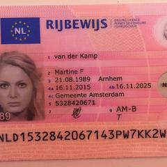 Rijbewijs, pinpas en ov-chipkaart