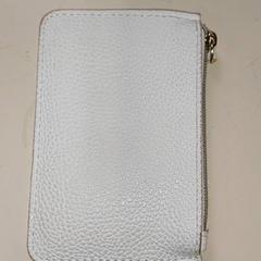 Cartera - Dmitrieva, segons ha informat Regio Antwerpen - Brussel mitjançant iLost