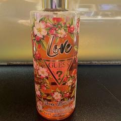 Bodymist, a été signalé par Hotel Apeldoorn utilisant iLost