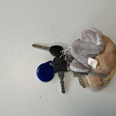 鍵 がiLostで Breng Arnhem によって報告されました