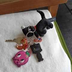 Sleutelhanger - Sleutel, som rapporterats till iLost