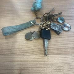 Sleutelbos، كما تم الإبلاغ عنه بواسطة Gemeente Hardenberg عبر iLost