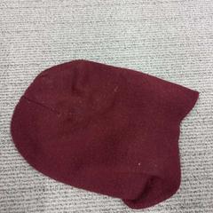 Muts, zoals gemeld door Arriva West-Brabant met iLost