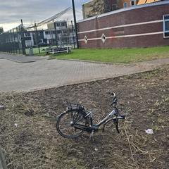 Electrische fiets, segons s'ha informat a iLost