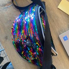 Fanny pack  gekleurde pailletten, zgłoszono przez Gemeente Meierijstad przy użyciu iLost