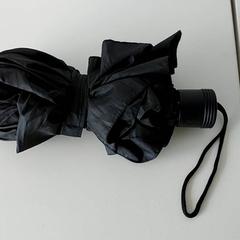 Paraplu, zoals gemeld door Centraal magazijn met iLost