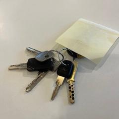 Clauer, segons ha informat Gemeente Noordwijk mitjançant iLost
