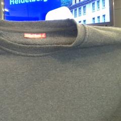 Svetr Grey, jak nahlášeno MEININGER Hotel Vienna Downtown Franz pomocí iLost