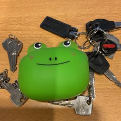 鍵 がiLostで Gemeente Amsterdam - Bureau Gevonden Voorwerpen によって報告されました
