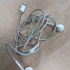 Oortjes, segundo informou Arriva Vechtdallijnen usando iLost