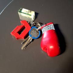 Keychain, as reported by IKEA Nice Saint Isidore using iLost