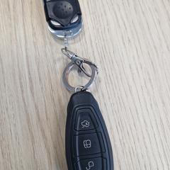 Autosleutel, segons s'ha informat a iLost