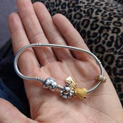 armband met bedels, segons s'ha informat a iLost