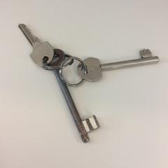 Schlüsselanhänger, gemeldet von Gemeente Barneveld über iLost