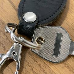 Schlüssel, gemeldet von IKEA立川 über iLost