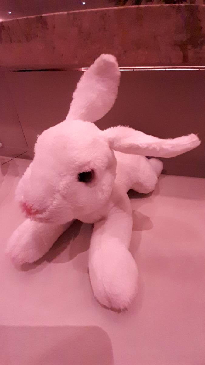 Knuffel Konijn