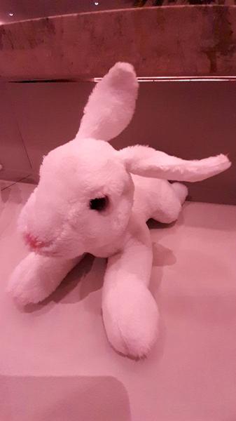Knuffel Konijn
