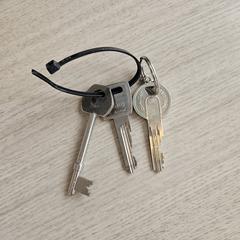 Sleutels, as reported to iLost