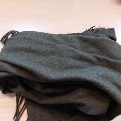 Xal groen, segundo informou Regio Limburg - Leuven usando iLost