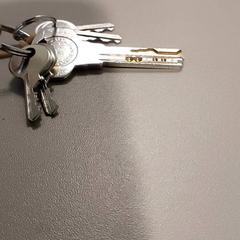 Sleutelbos met sleutelhangers, segundo informou Regio Limburg - Leuven usando iLost