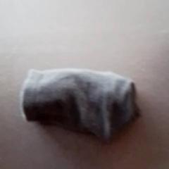 Medias Zwart, segundo informou Apenheul usando iLost