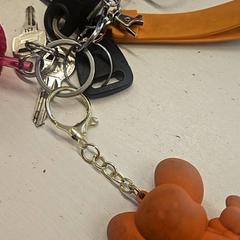 Keys, as reported by GVB using iLost