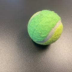 Tennis bal, segundo informou Gebo Tours usando iLost
