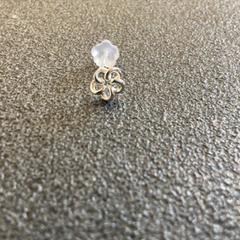 Boucle d'oreille Blume, a été signalé par Schönbrunn "Group Center" utilisant iLost