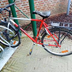 İLost kullanarak Stad Peer tarafından bildirildiği gibi Bisiklet Giant grijs/rood