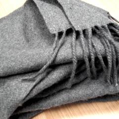 Schal, gemeldet von Connexxion Haarlem AML über iLost