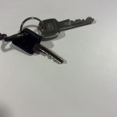 Nycklar 2 sleutels en sleutelhanger, rapporterat av Gemeente Veenendaal med iLost