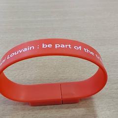 電子製品 - Usb がiLostで Regio Limburg - Leuven によって報告されました