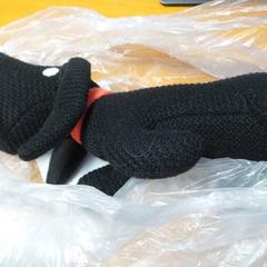 Hračka pro psa toy, jak nahlášeno Carlton Beach Hotel pomocí iLost