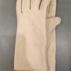 Handschoenen, zoals gemeld door Qbuzz GD Groningen HS met iLost