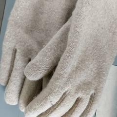 Kleding - Handschoenen, zoals gemeld door Regio Antwerpen - Brussel met iLost