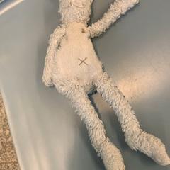 Knuffel, amint azt Eindhoven Airport az iLost segítségével jelentette.