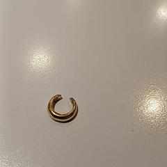 Earcuff, gemeldet von Padualaan 97 über iLost