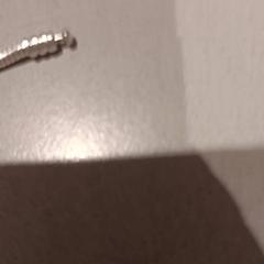 Bracelet, as reported by De Efteling using iLost