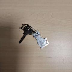 Key sleutels met poes, as reported by Gemeente Roermond using iLost