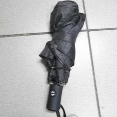 Deštník zwart, jak nahlášeno Regio Limburg - Leuven pomocí iLost