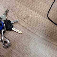 Chaveiro Clip, como reportado por Arriva West-Brabant utilizando o iLost