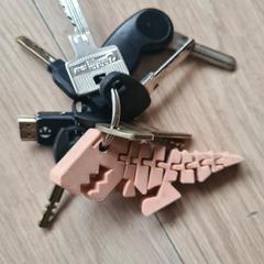 Sleutels، كما تم الإبلاغ عنه عبر iLost