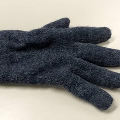 Kleding - Handschoen, como reportado por Regio Oost-Vlaanderen utilizando o iLost