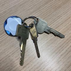 Sleutels, zoals gemeld door Pathé Amsterdam Noord met iLost